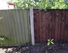 Half cleaned fence - Norfolk pressure washing