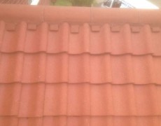 Roof washing, sealing and painting services in Norfolk